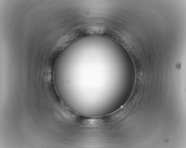 X0000093560323200710291024