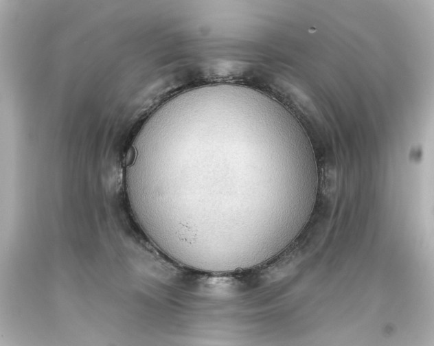 X0000093560324200710291024