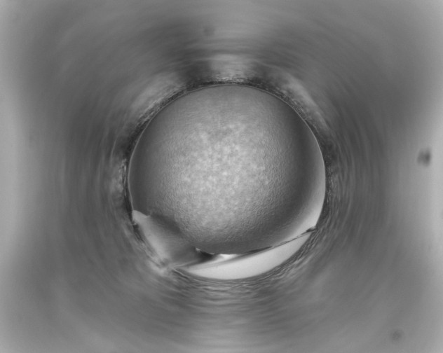 X0000093560325200710291024