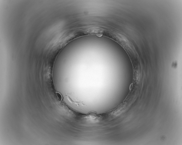 X0000093560326200710291024