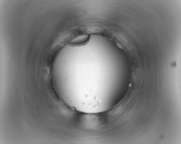 X0000093560327200710291024