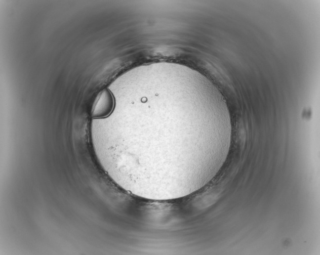 X0000093560328200710291024