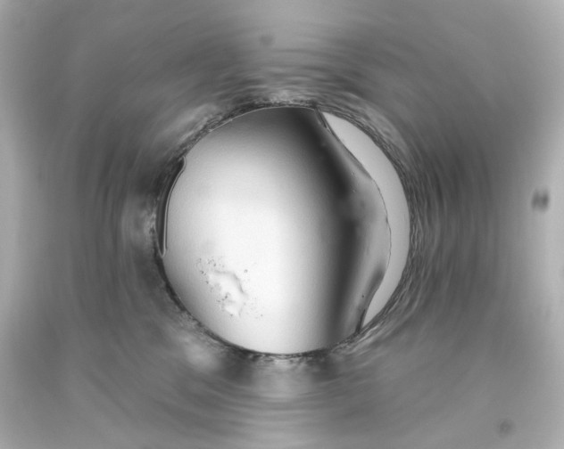 X0000093560329200710291024