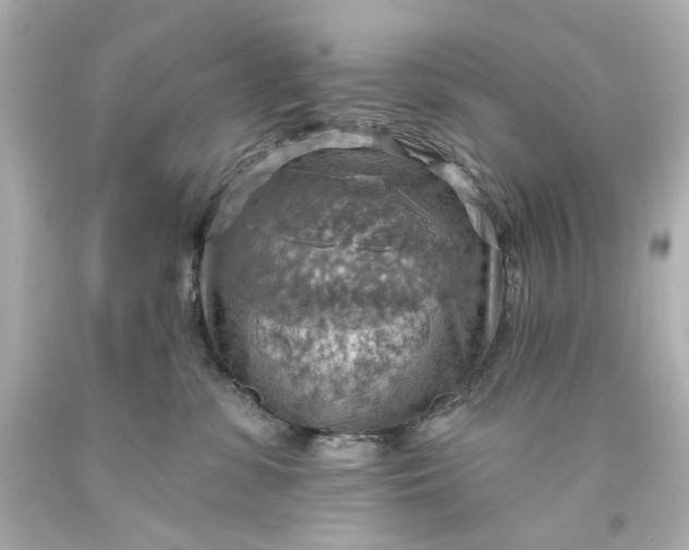 X0000093560331200710291024