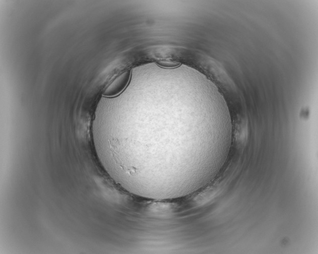 X0000093560332200710291024