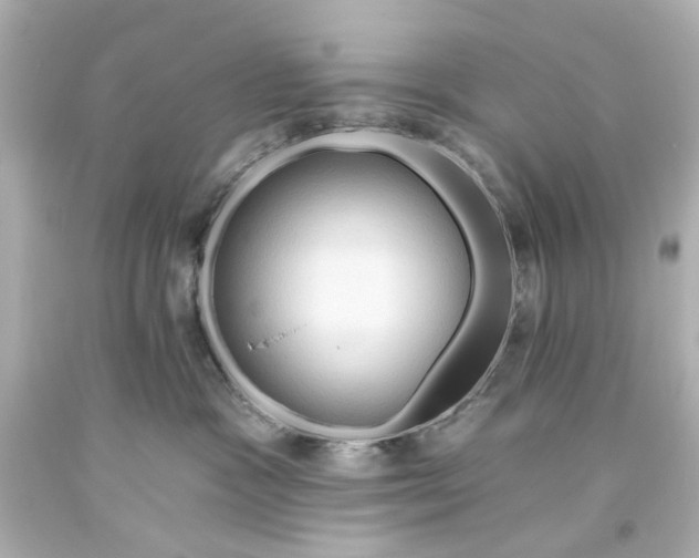 X0000093560333200710291024