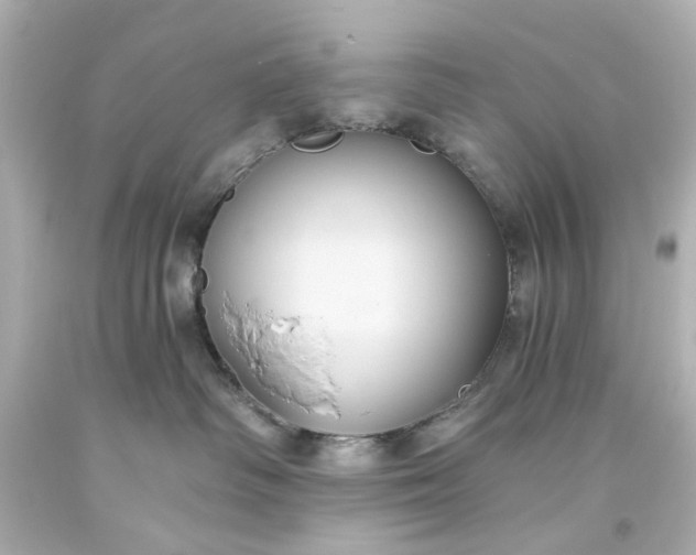 X0000093560334200710291024