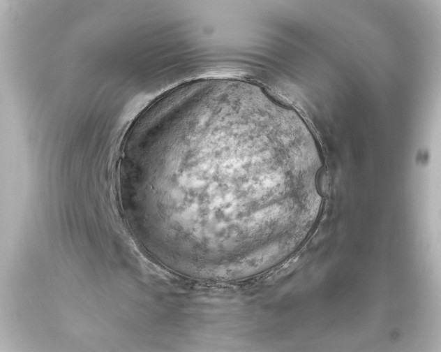 X0000093560337200710291024