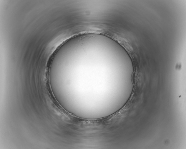 X0000093560338200710291024