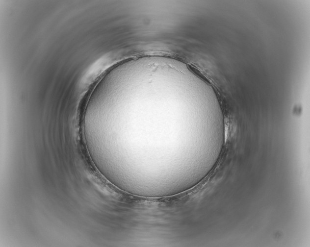 X0000093560339200710291024