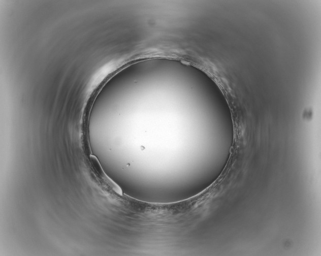 X0000093560340200710291024