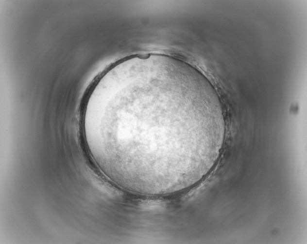 X0000093560342200710291024