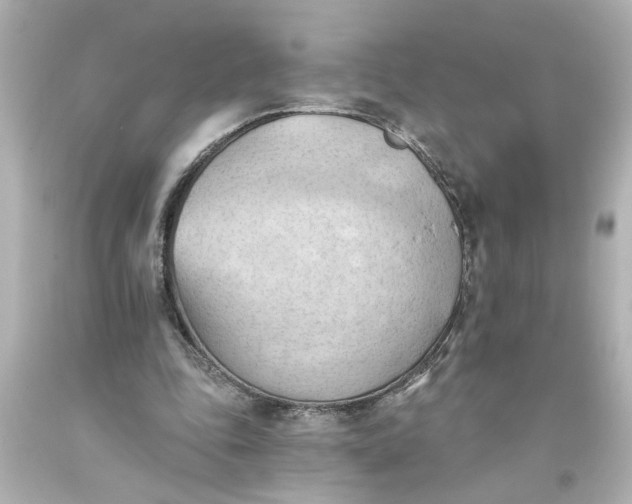 X0000093560343200710291024