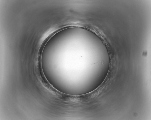 X0000093560344200710291024