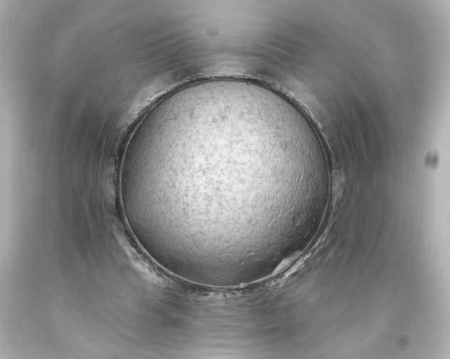 X0000093560345200710291024