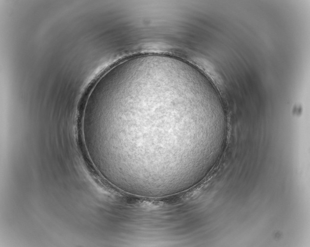 X0000093560346200710291024