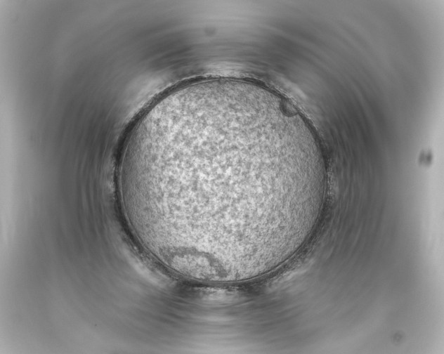 X0000093560347200710291024