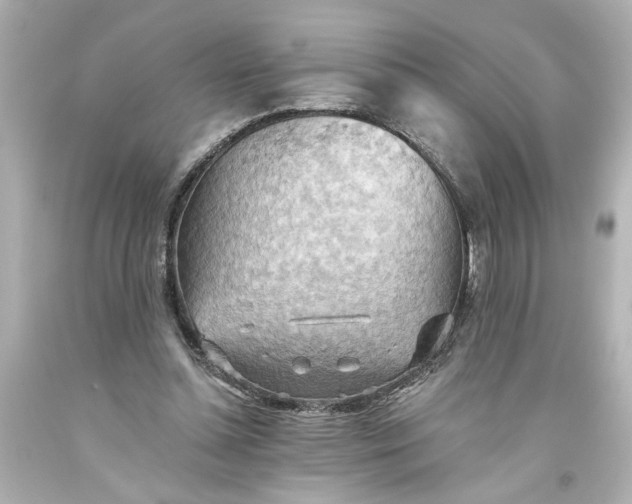 X0000093560348200710291024