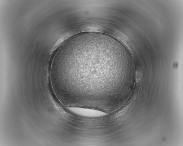 X0000093560349200710291024