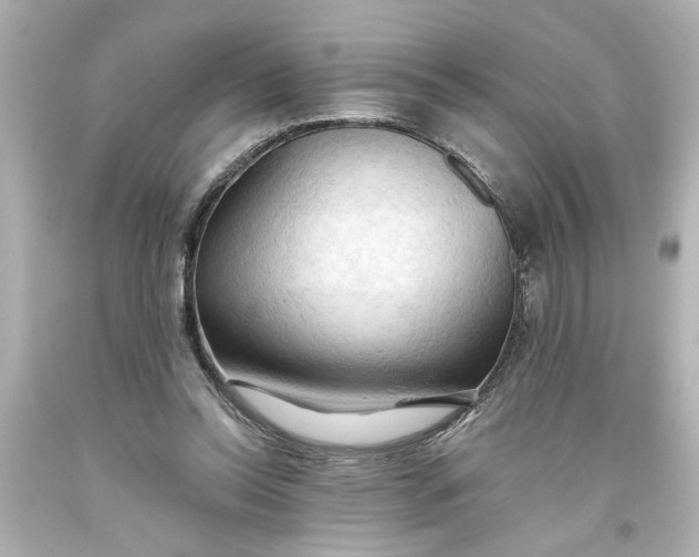 X0000093560350200710291024