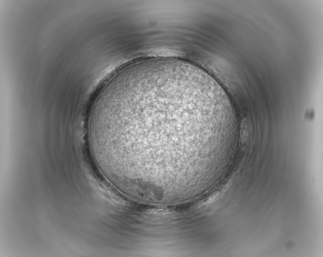 X0000093560351200710291024