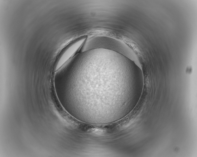 X0000093560352200710291024