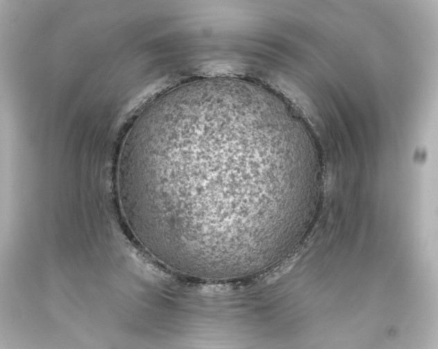 X0000093560353200710291024