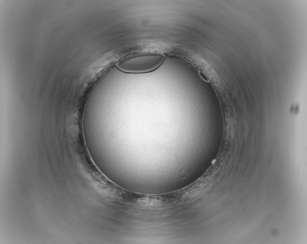 X0000093560354200710291024