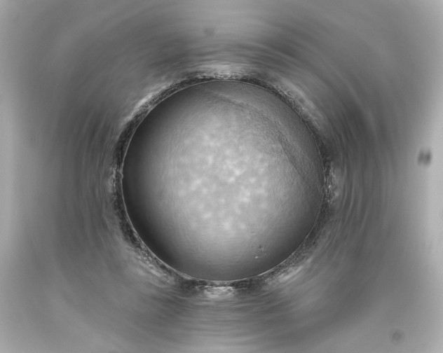 X0000093560355200710291024