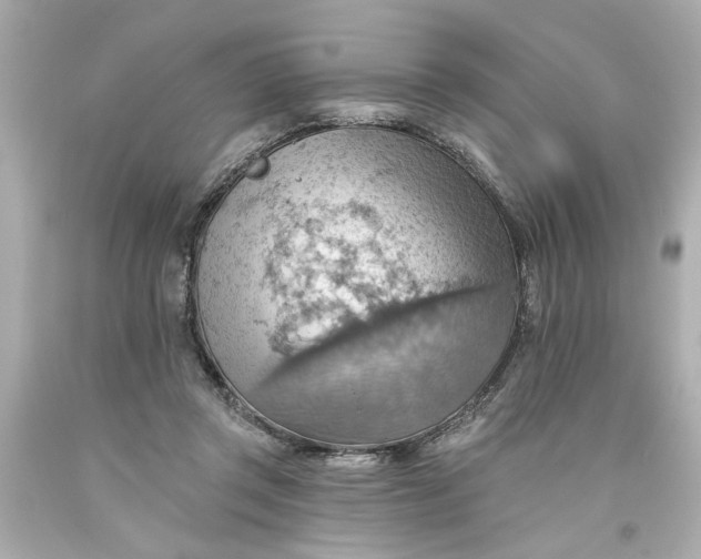 X0000093560357200710291024