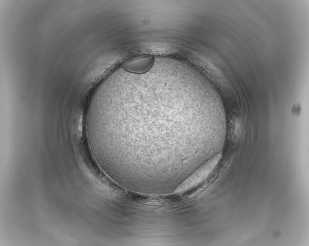 X0000093560358200710291024