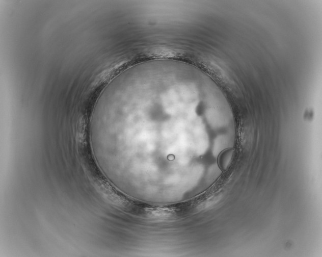 X0000093560359200710291024