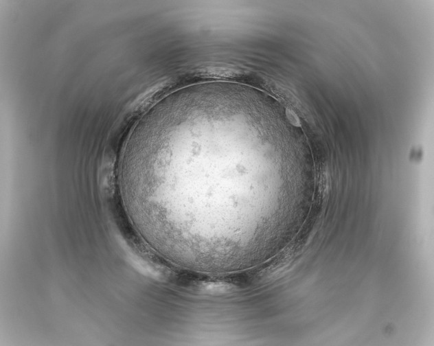 X0000093560360200710291024