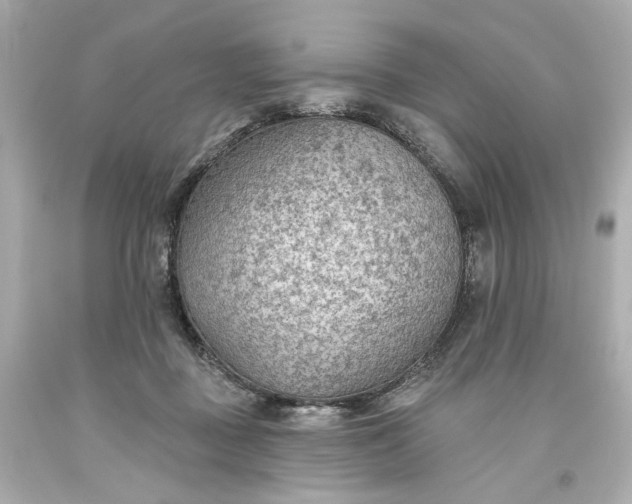 X0000093560363200710291024