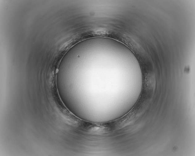 X0000093560364200710291024