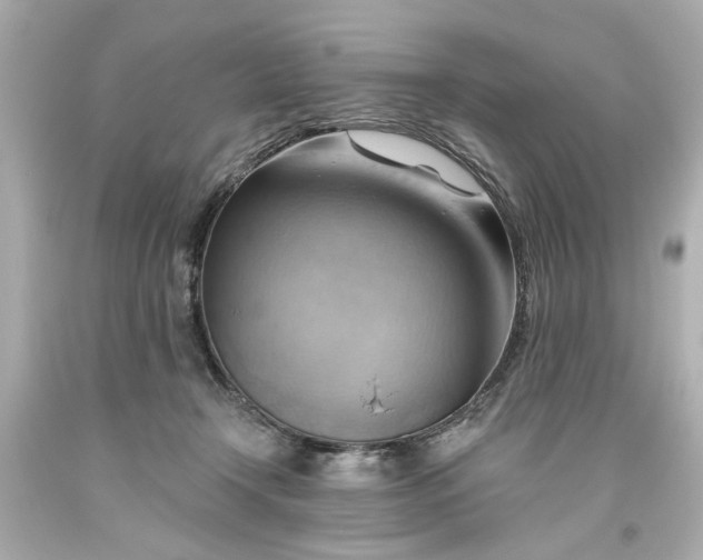 X0000093560366200710291024