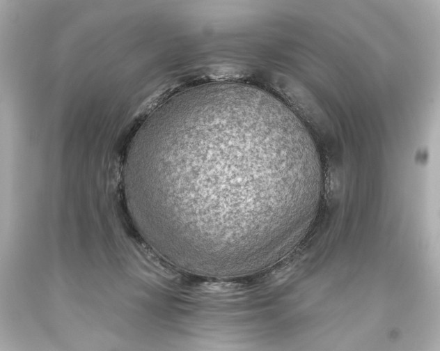 X0000093560367200710291024