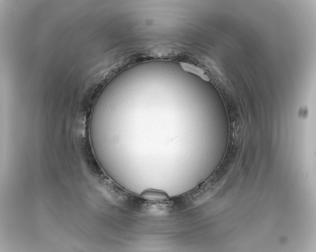 X0000093560368200710291024