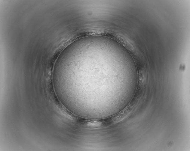 X0000093560369200710291024