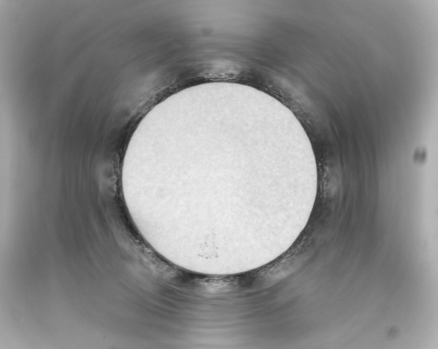 X0000093560370200710291024