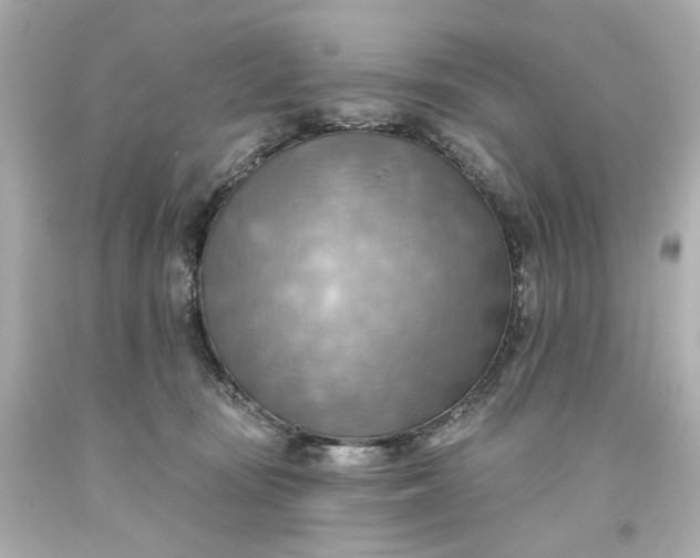 X0000093560371200710291024