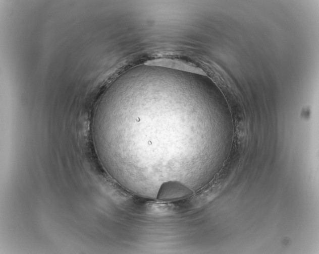 X0000093560372200710291024