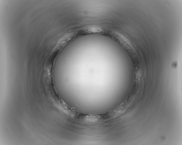 X0000093560373200710291024