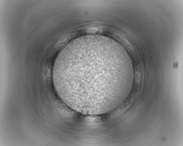 X0000093560375200710291024