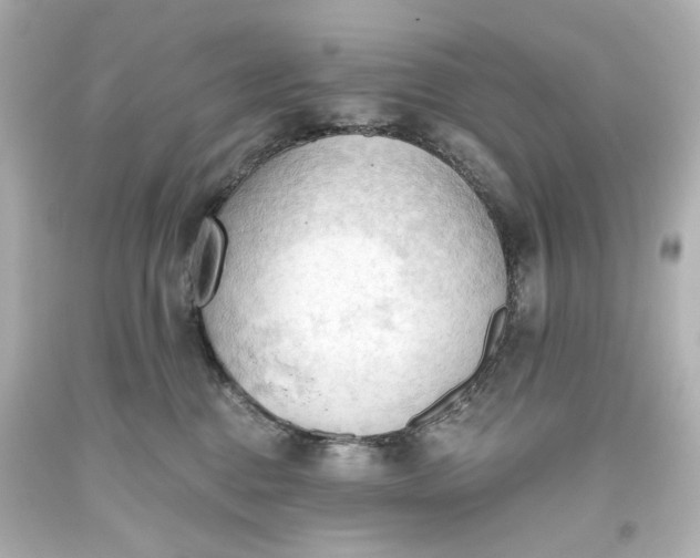 X0000093560376200710291024