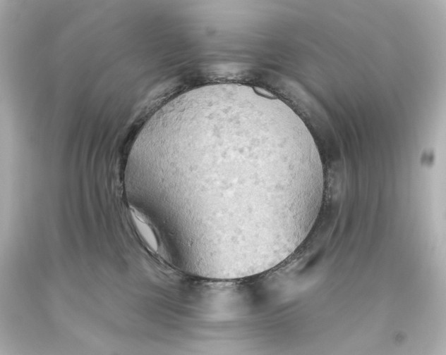 X0000093560377200710291024