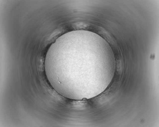 X0000093560378200710291024