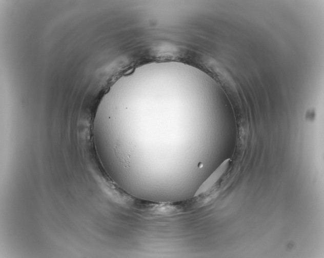 X0000093560379200710291024