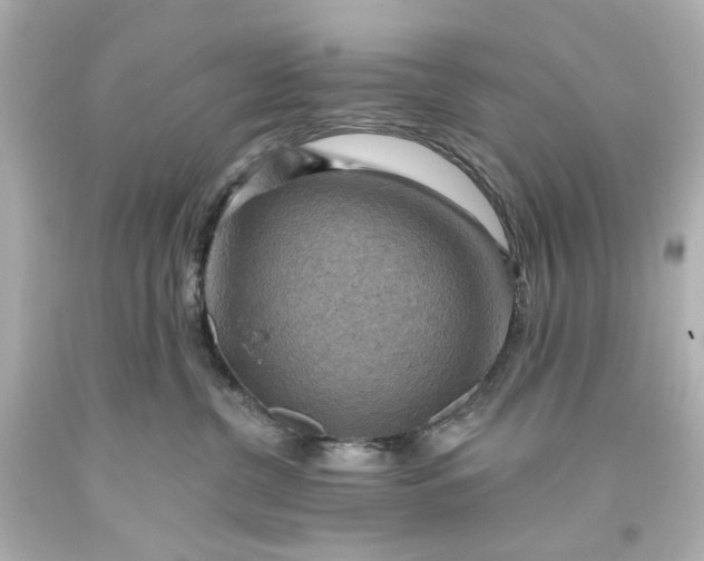 X0000093560380200710291024