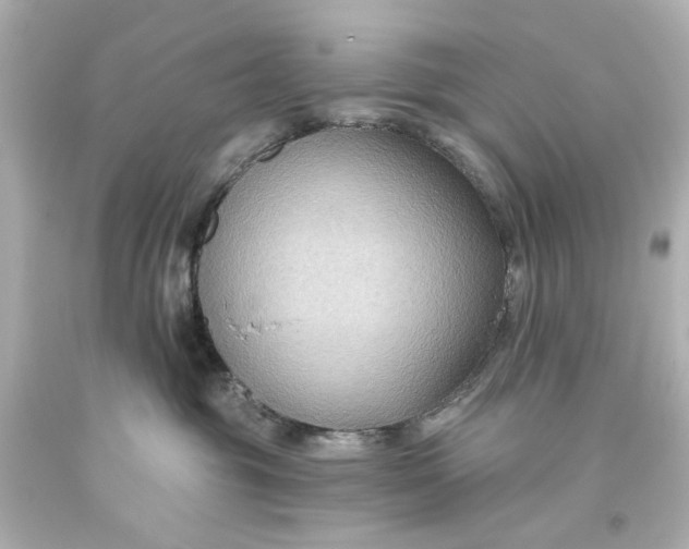 X0000093560381200710291024